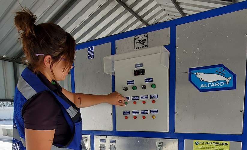 Quimicos Jalisco: Profesionales Especialistas en Tratamientos de Aguas para Calderas y Torres de Enfriamiento